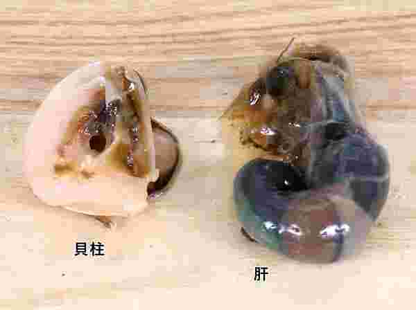 サザエの貝柱と肝