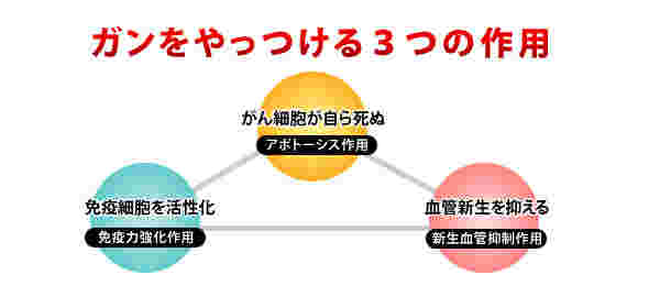 フコダインの代表的な3つの作用