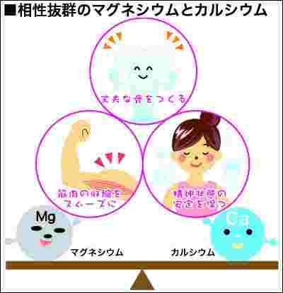 カルシウムとマグネシウムの相乗効果