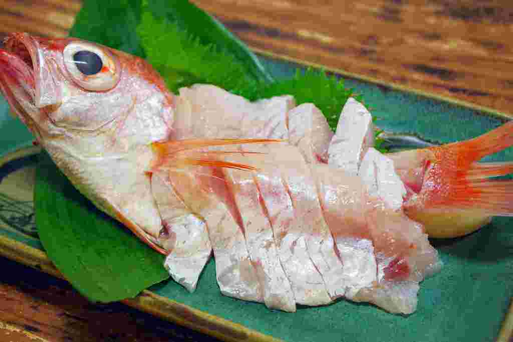 ノドグロの刺身