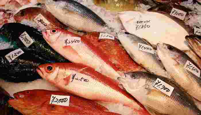 沢山の種類の魚が氷の上に並べられている様子