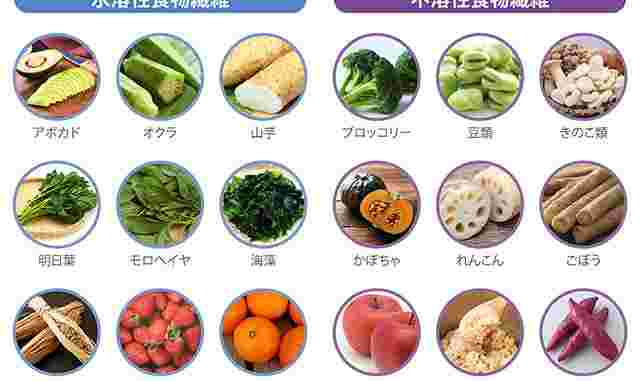 様々な野菜の写真