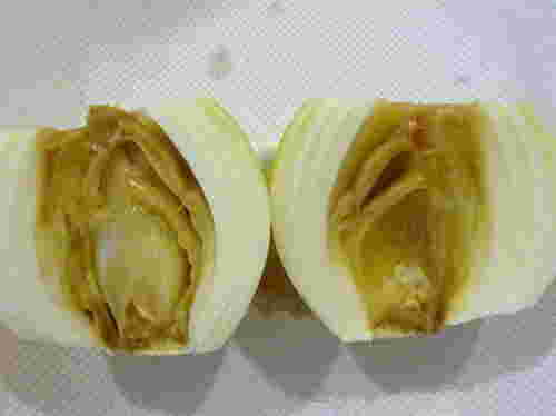 腐った玉ねぎの画像
