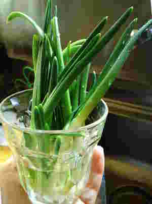 玉ねぎの芽薬味画像
