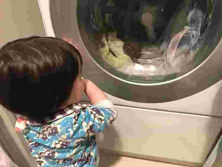 子どもが洗濯機を見ている様子