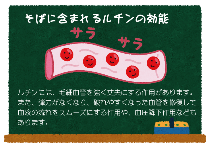 そばに含まれるルチンの効果の絵とテキスト