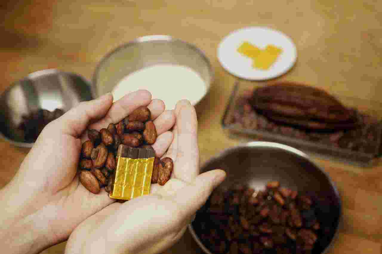 カカオ豆などチョコレートの材料