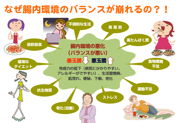 腸内環境が乱れる要因