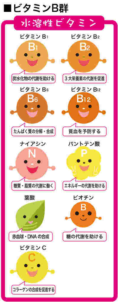 ビタミンB群の働き