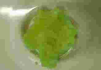 緑色に変色したすりおろしにんにく