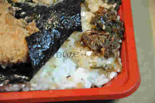 カビの生えたコンビニ弁当