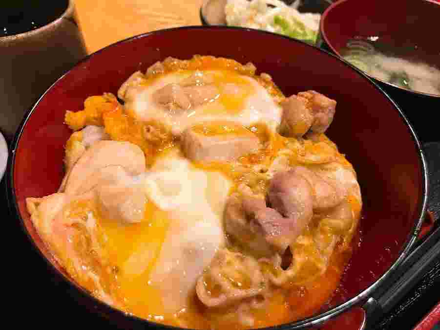 丼に盛られた鶏もも肉と長ネギの親子丼