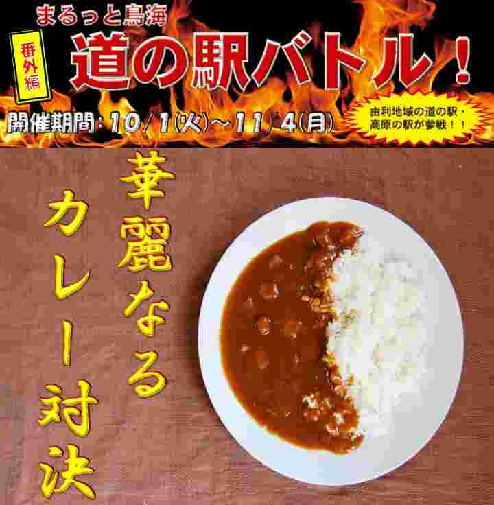 華麗なるカレー対決のチラシ面
