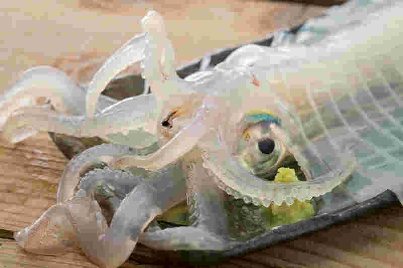 新鮮で透き通ったイカのお刺身