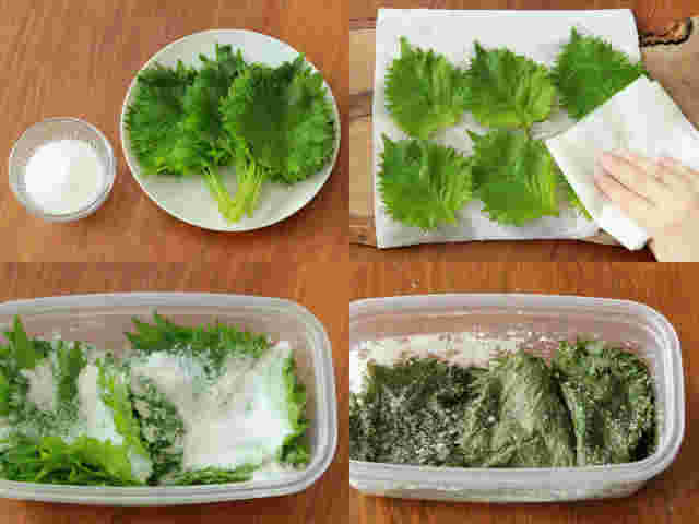 大葉の塩漬けの手順