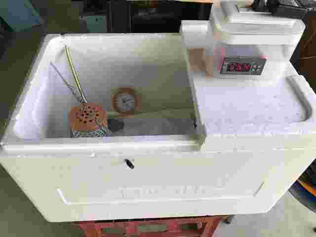 自作の孵化器