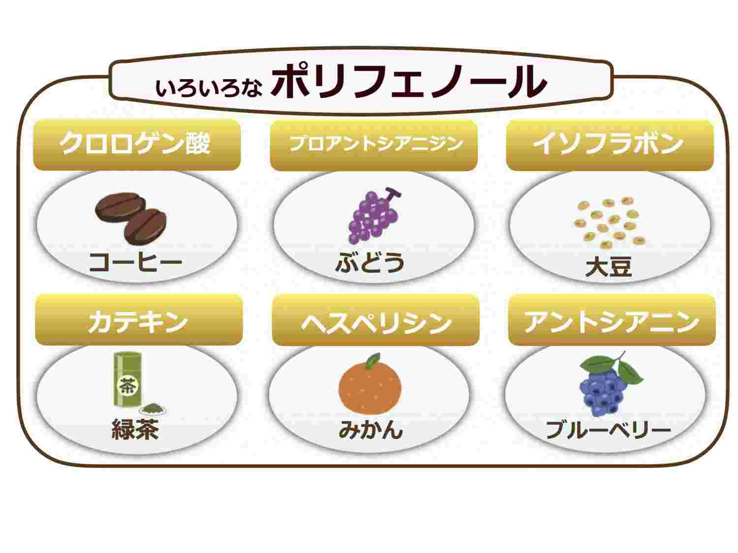 ポリフェノールが含まれる食品のイラスト