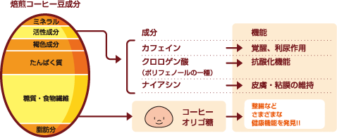 コーヒー豆の成分イラスト