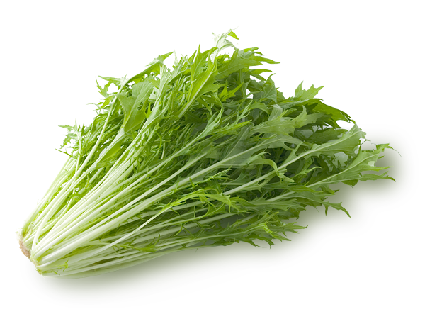 生の水菜