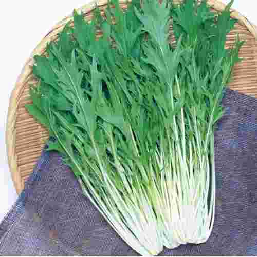 水菜の一種である生の京みぞれ