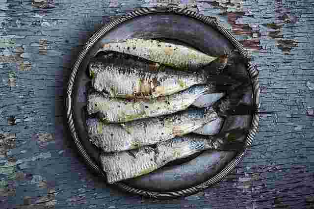 魚ダイエットの使える青魚がお皿に盛り付けられている
