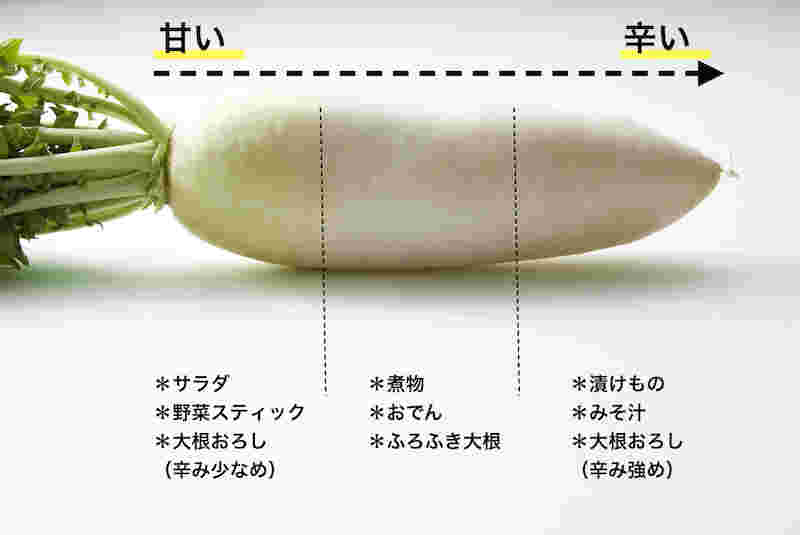 大根の部位