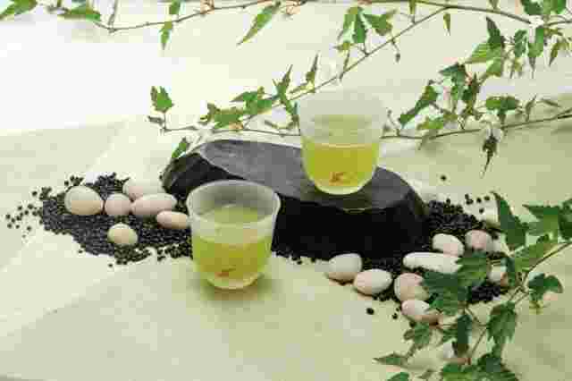 二杯の緑茶と植物
