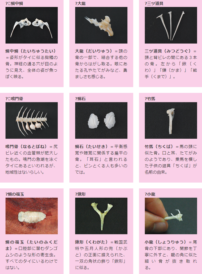 鯛の9つ道具