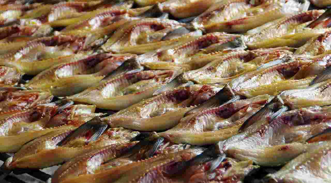 規則正しく並べられた魚の干物