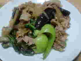 豚もも肉切り落としと玉ねぎの炒め物
