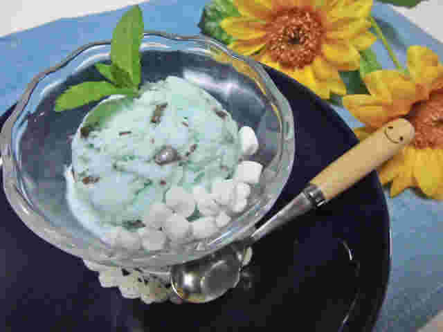 簡単なレシピで作る手作りチョコミントジェラート