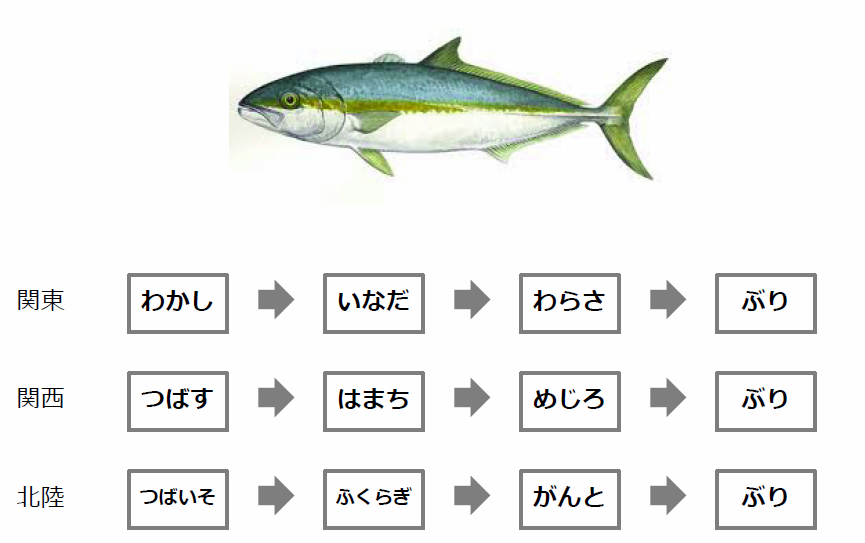 出世魚であるブリのイナダ以外の名称順（地方別）