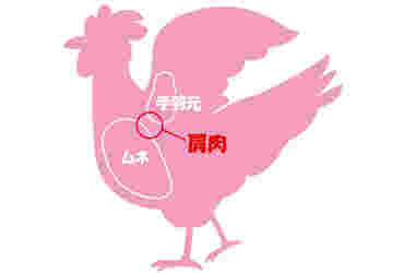 鶏肩肉の部位