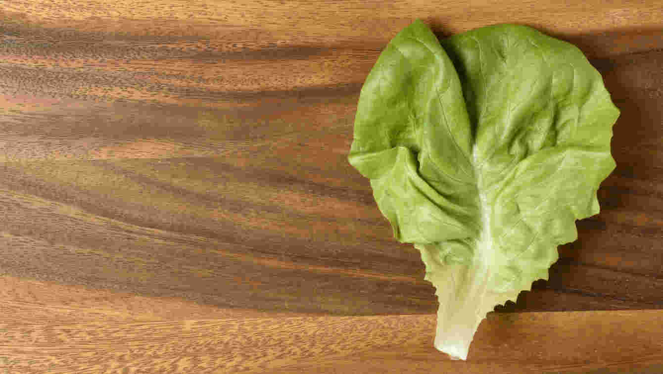 サラダ菜の葉