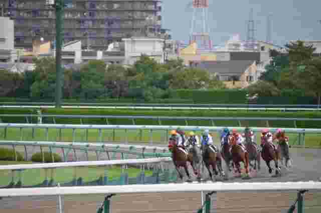 ダートコースを駆ける競走馬達