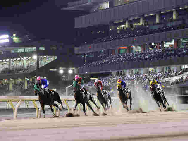 大井競馬場のトゥインクルレース