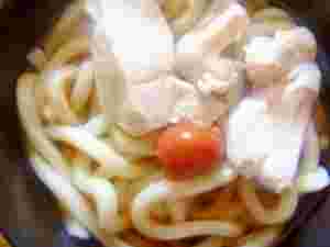 冷製かしわうどん