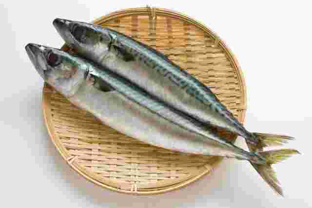 煮付けに使用する鯖