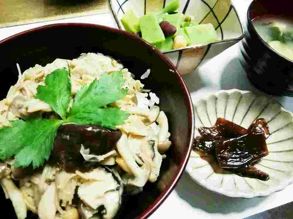 乾燥湯葉のきのこ丼