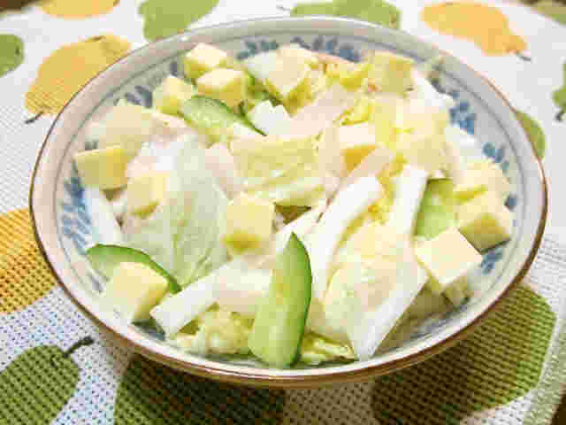 白菜ときゅうりを使ったレシピで作るチーズサラダ