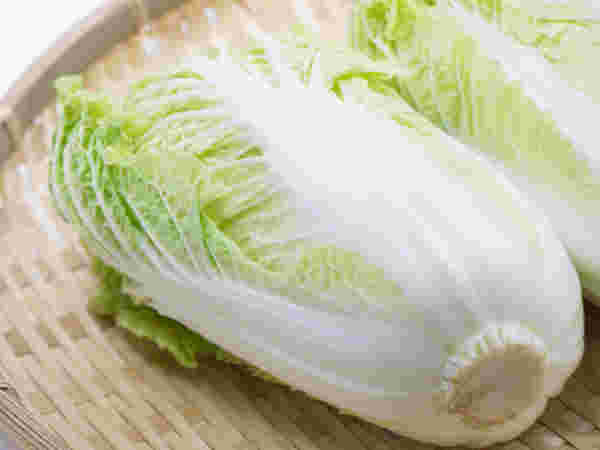 ザルにのせられた2玉の白菜
