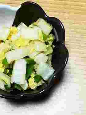 白菜とねぎの中華和え