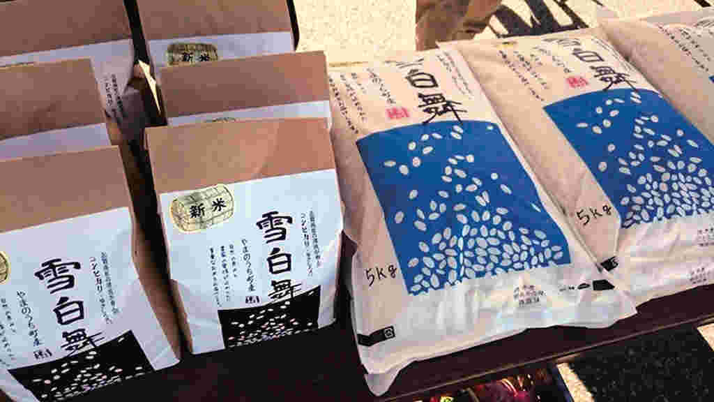 雪白舞