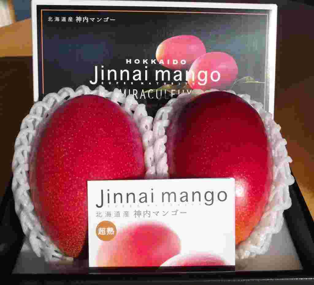 神内マンゴー