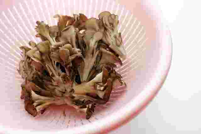 ザルに入った舞茸