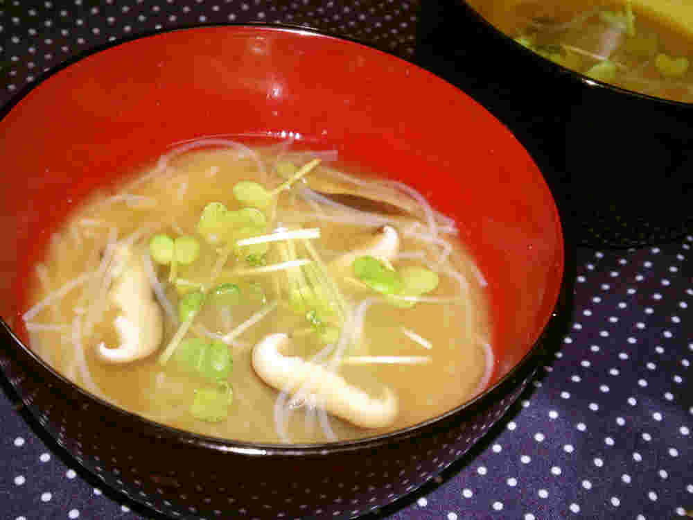 しいたけと春雨を使った味噌汁