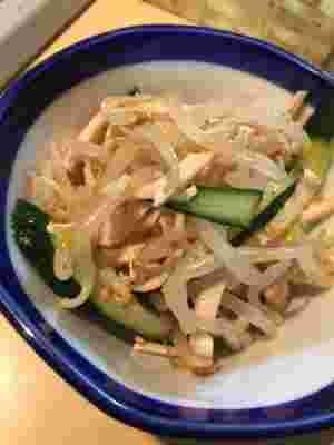 もやしがパクパク食べることができるもやしと蒸し鶏の中華サラダ