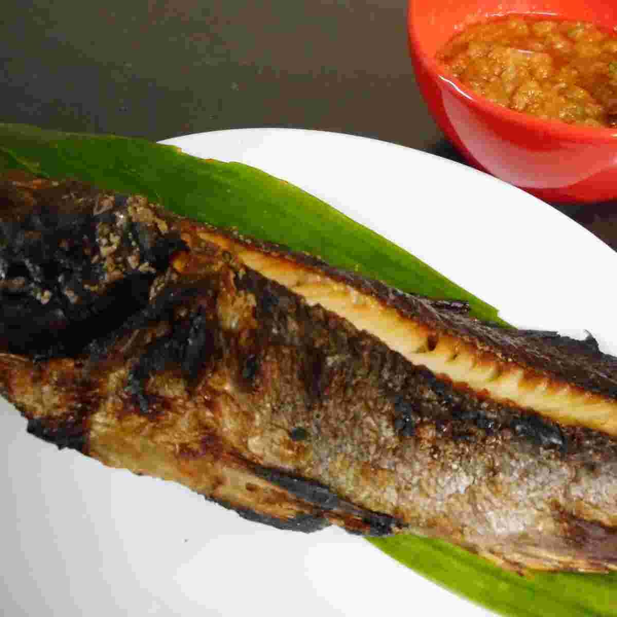 グリルでじっくり焼いたソイの塩焼き