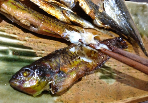 キュウセンを使った広島の郷土料理「ハブテ焼き」