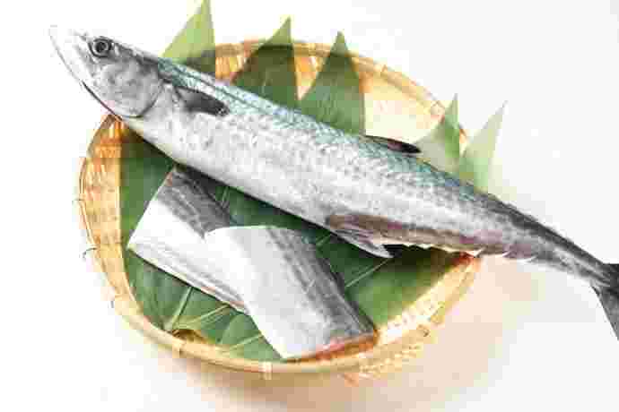 鰆